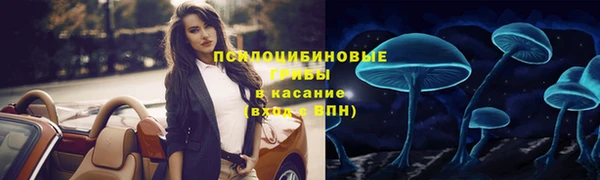 мескалин Алексин
