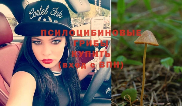 spice Абаза