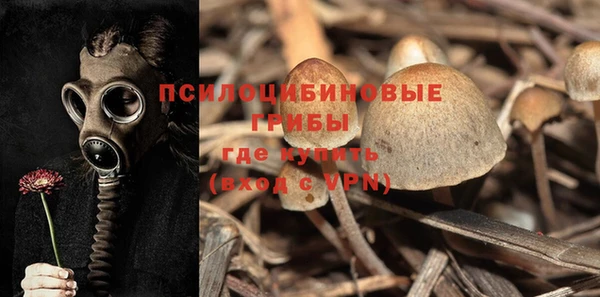 spice Абаза